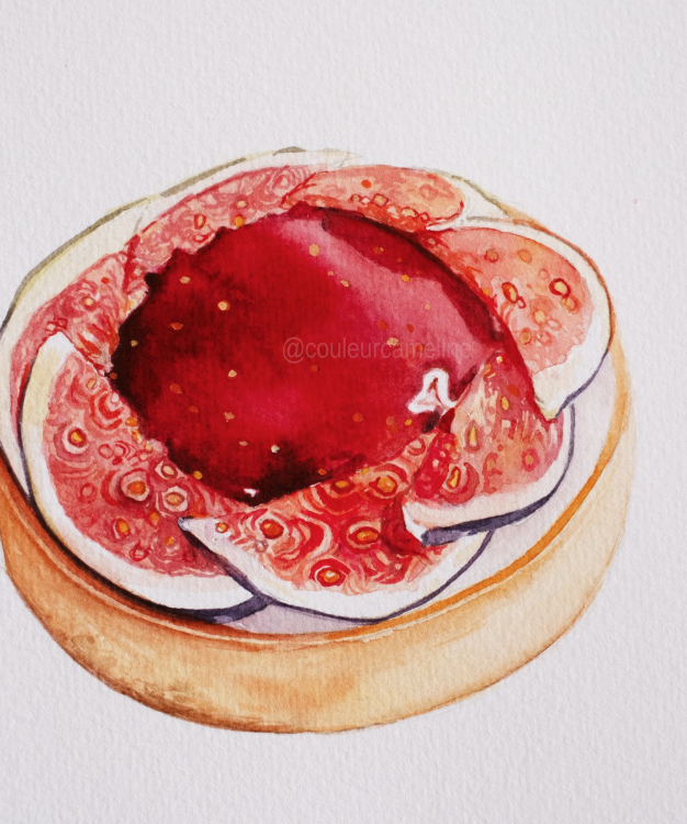Illustration aquarelle — tarte aux figues